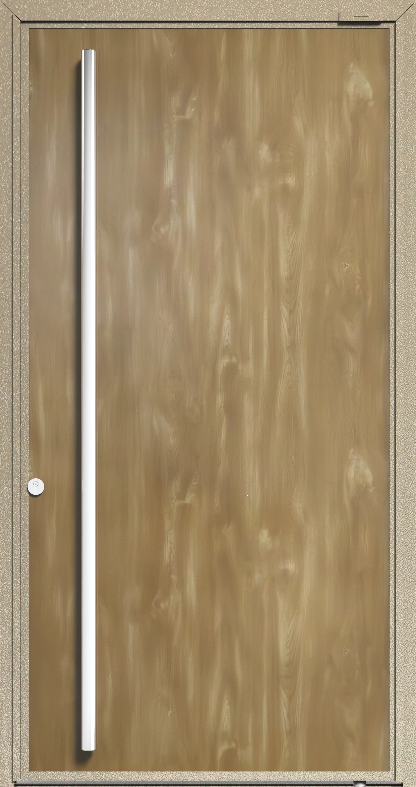 Puerta lisa color fresno-champagne